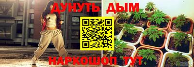 PSILOCYBIN Кимры