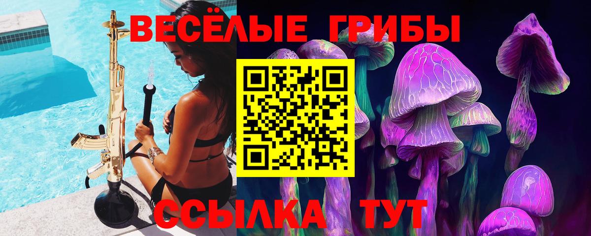 Псилоцибиновые грибы GOLDEN TEACHER Кубинка
